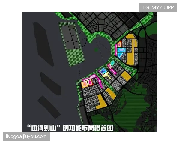 文班亚马无球牵制改变防守布局,拉开空间效率提升 文班亚马无球牵制改变防守布局,拉开空间效率提升