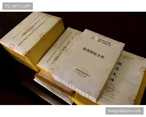 深入探讨篮球裁判判罚流程的具体环节与规则解析依据