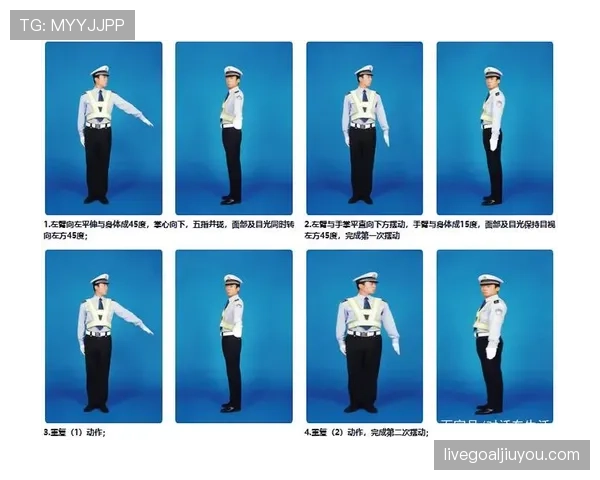 裁判手势详解：常见信号含义与判罚规则对照